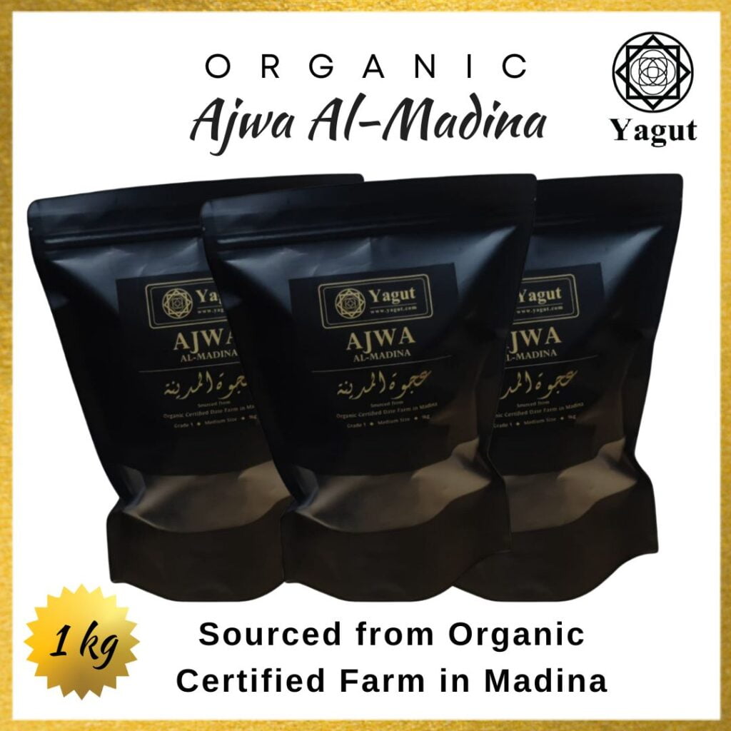 Organic Ajwa Al-Madina Dates - Grade 1 Medium Size (B)