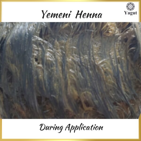 Natural Yemeni Henna During
