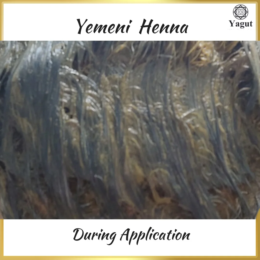 Natural Yemeni Henna 6 Natural Yemeni Henna During