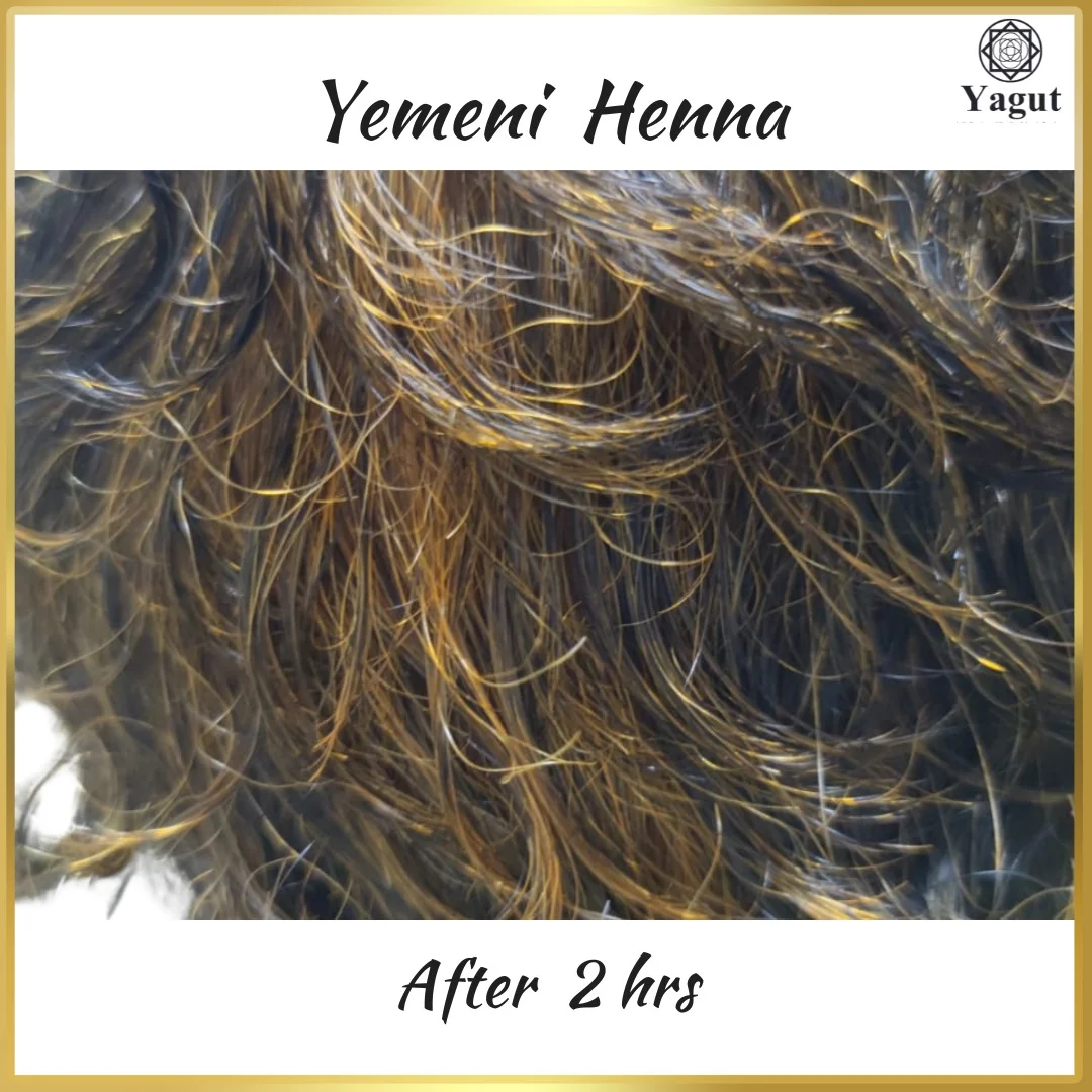 Natural Yemeni Henna 7 Natural Yemeni Henna After