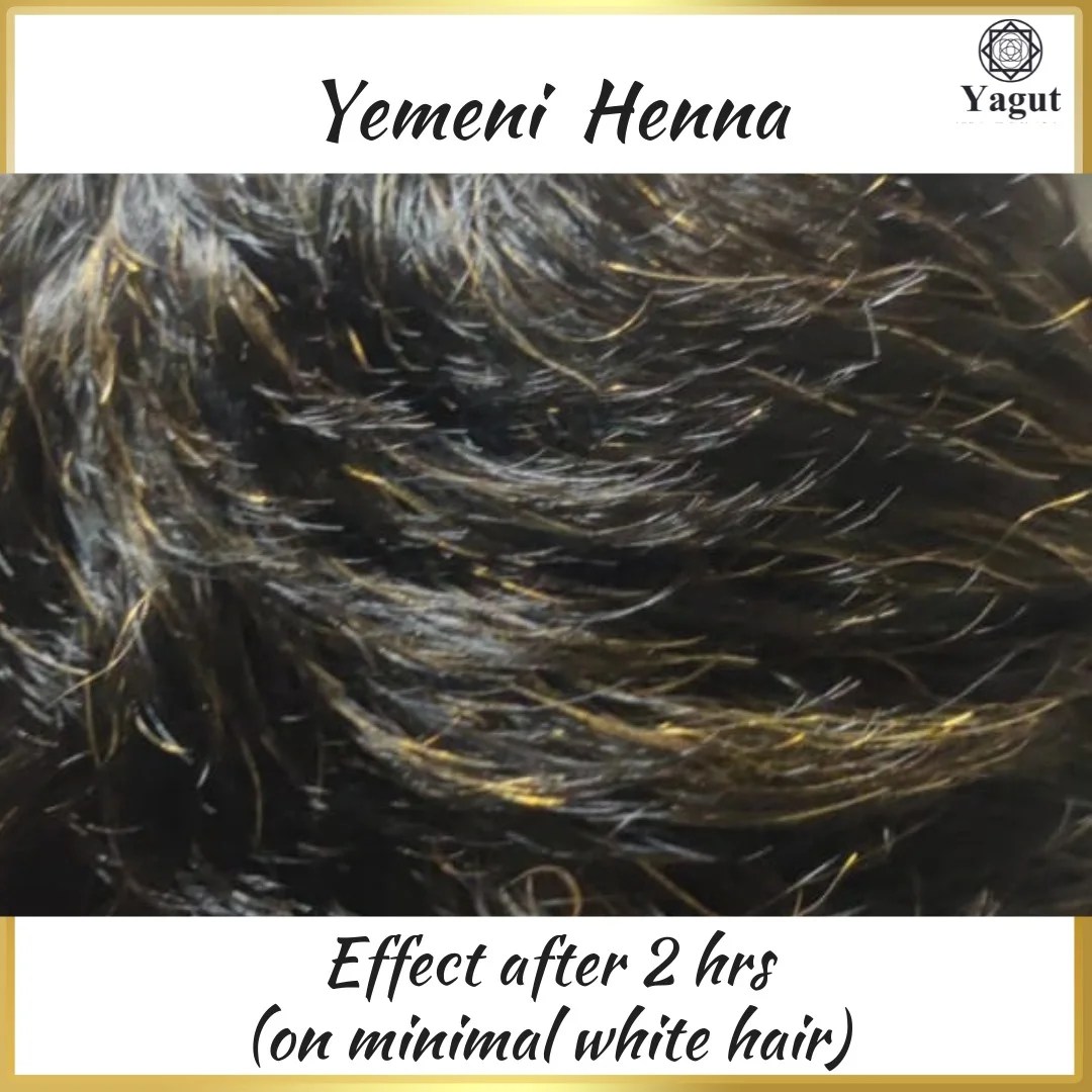 Natural Yemeni Henna 8 Natural Yemeni Henna Minimal