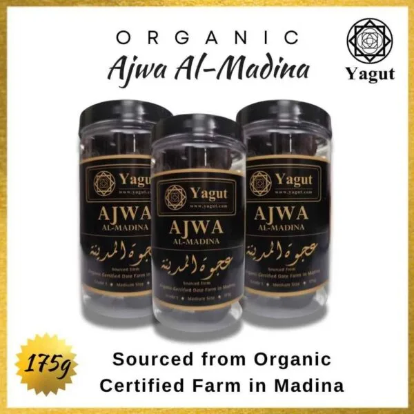 Organic Ajwa Al-Madina Dates - Grade 1 Medium Size (B) - Image 4