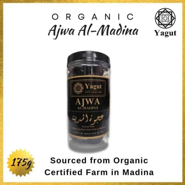 Organic Ajwa Al-Madina Dates - Grade 1 Medium Size (B) - Image 5